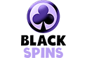 Black Spins Casino Logo